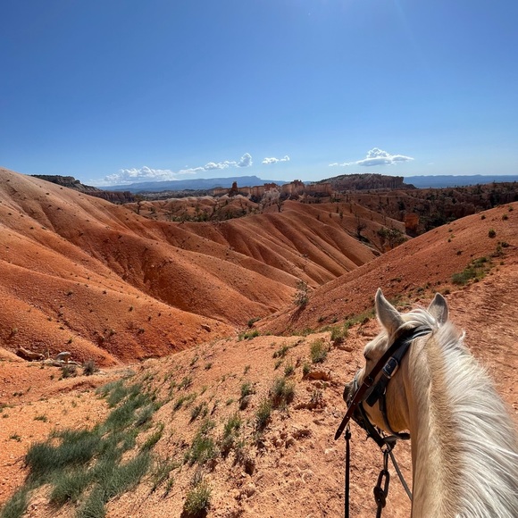 Meet your Posher, Hannah - Picture 11 of 11